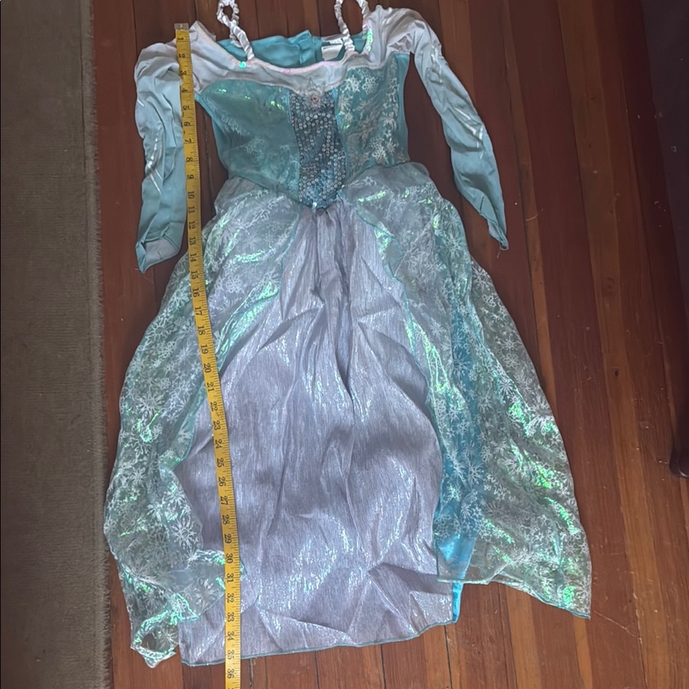 Disney Blue and Silver Halloween Costume